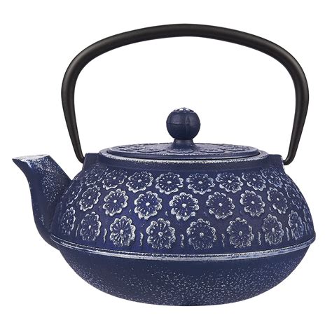 can you put a cast iron tea kettle on the stove